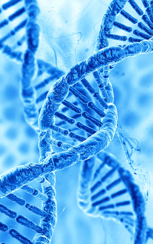 安华生物推出PDRN产品：用合成生物学重构组织再生原料全球供应链